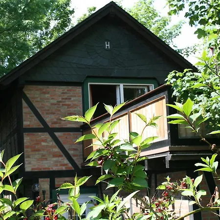 Harz-chill Holiday home *